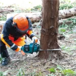 Motosserra a bateria Makita UC022GZ - Imagem 2